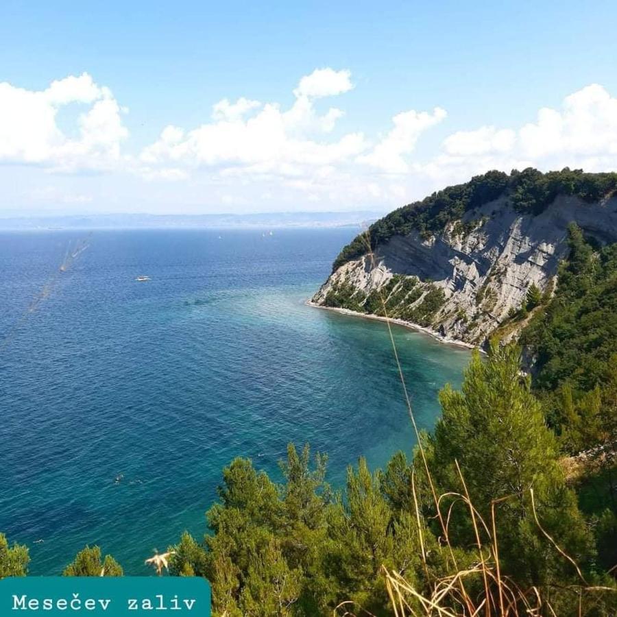 Apartmaji Soncek Izola Buitenkant foto