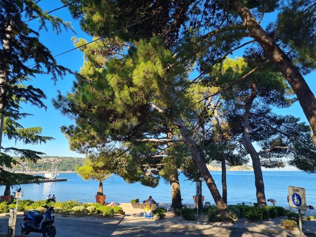 Apartmaji Soncek Izola Buitenkant foto