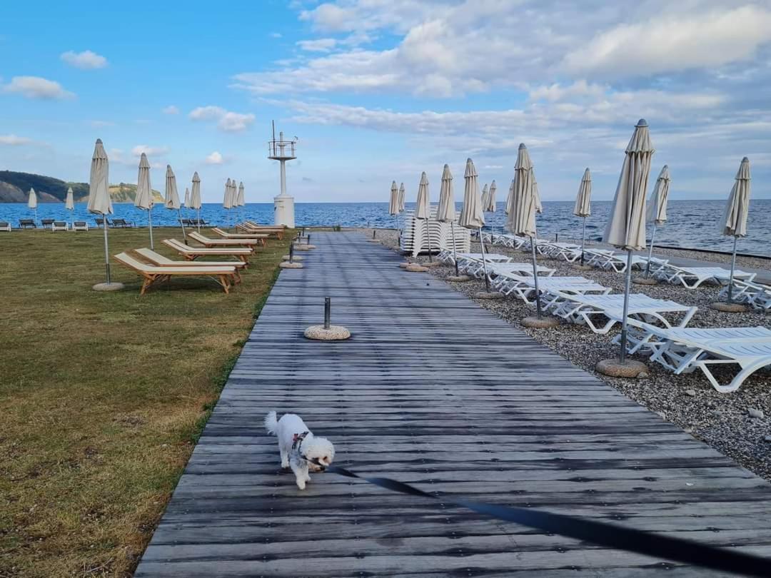 Apartmaji Soncek Izola Buitenkant foto